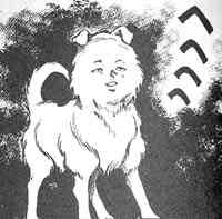 12290 B
