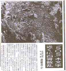 97955 B