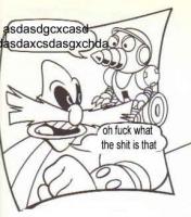 13.88 KB